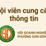 Hội viên cung cấp thông tin lên website hội doanh nghiệp phường Sơn Đông
