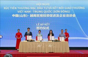 Son Dong 010623 1