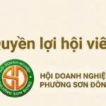 Quyền lợi của hội viên Hội doanh nghiệp phường Sơn Đông