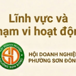 Lĩnh vực và phạm vi hoạt động Hội doanh nghiệp Sơn Đông