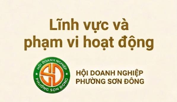 Linh Vuc Và Pham Vi Hoat Dong