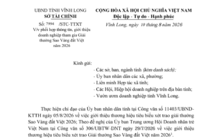 Sao Vang Dat Viet