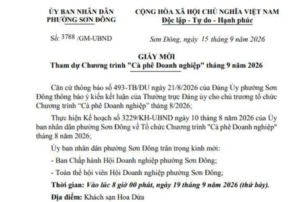 Ca Phe Doanh Nghiep Son Dong